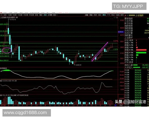 成都排球队的阵地战策略分析与未来发展展望