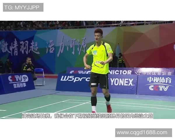 武汉羽毛球队与南京羽毛球队赛后复盘速度对比分析及战术探讨